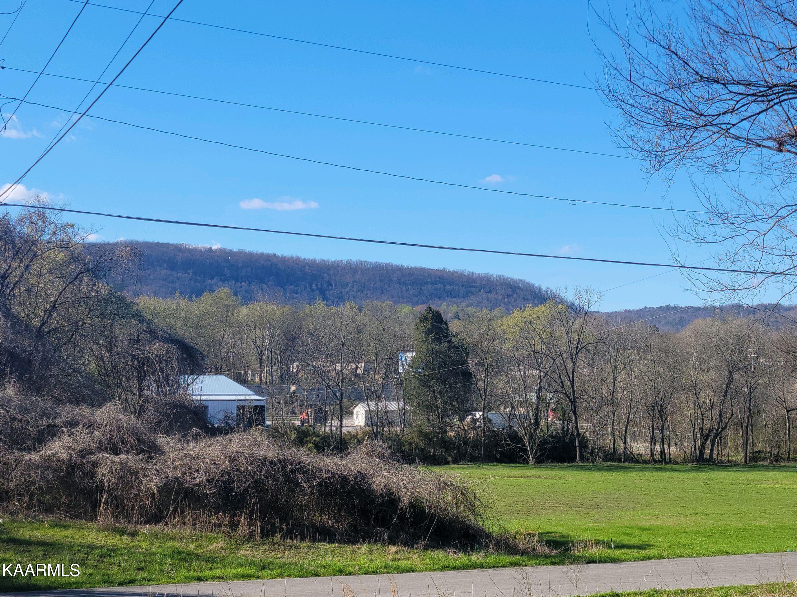 Lot 2 Hinch Street Spring City, TN 37381 - Photo 8 of 19 20230314_171653
