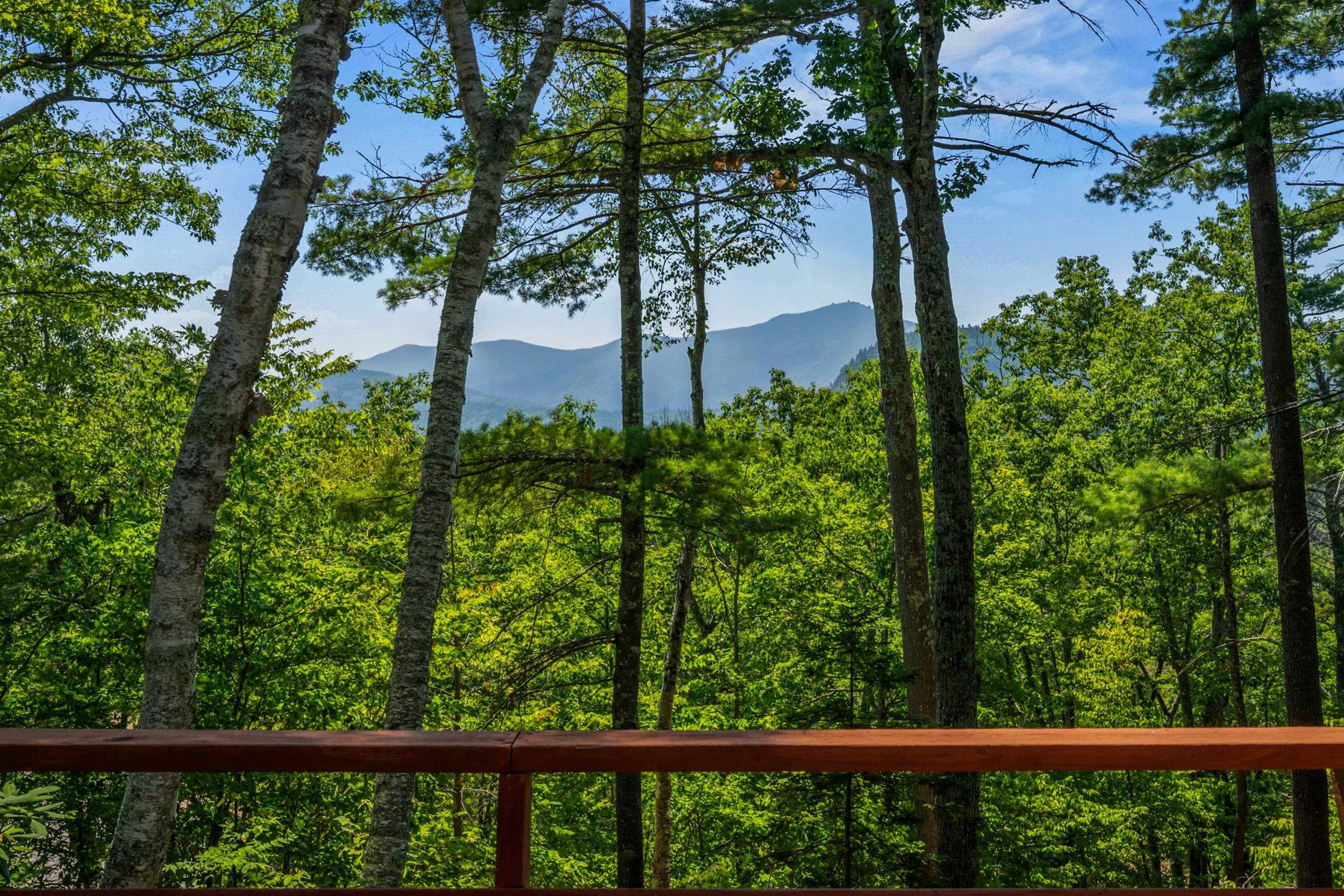 27 Moat Mountain Circle Road Bartlett, NH 03845 - Photo 4 of 60 Gallery Image 4