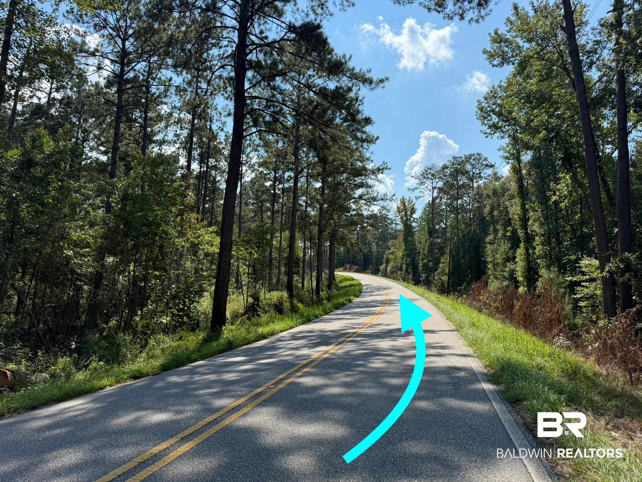 13850 Tallahatta Springs Road Thomasville, AL 36784 - Photo 1 of 27 View of asphalt road featuring a forest view