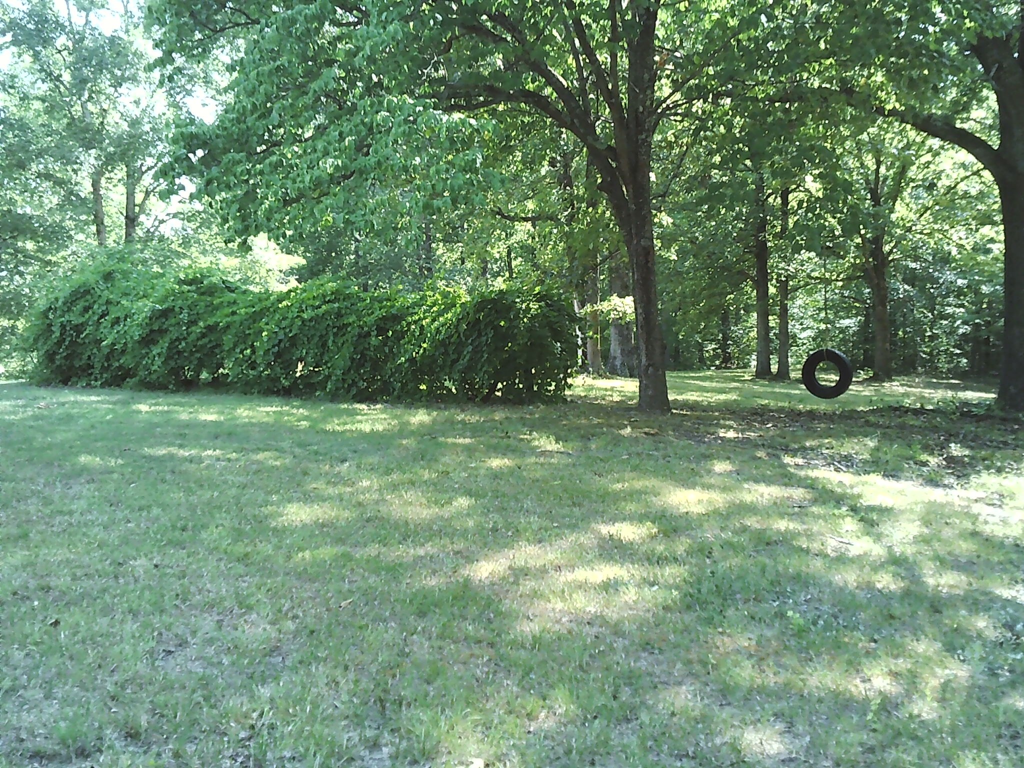 127 Reeves Road Dover, TN 37058 - Photo 8 of 18 Gallery Image 8