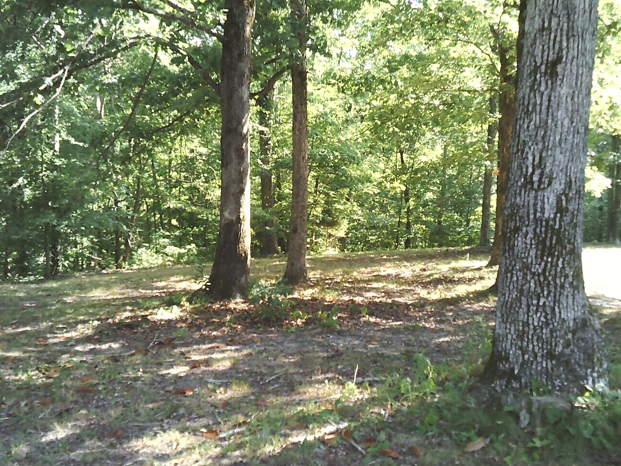 127 Reeves Road Dover, TN 37058 - Photo 9 of 18 Gallery Image 9