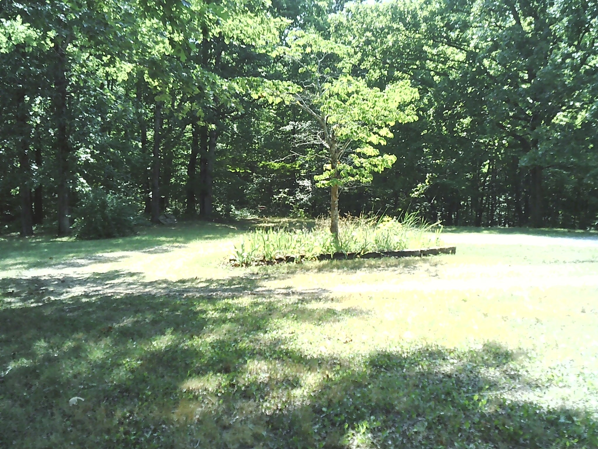 127 Reeves Road Dover, TN 37058 - Photo 10 of 18 Gallery Image 10