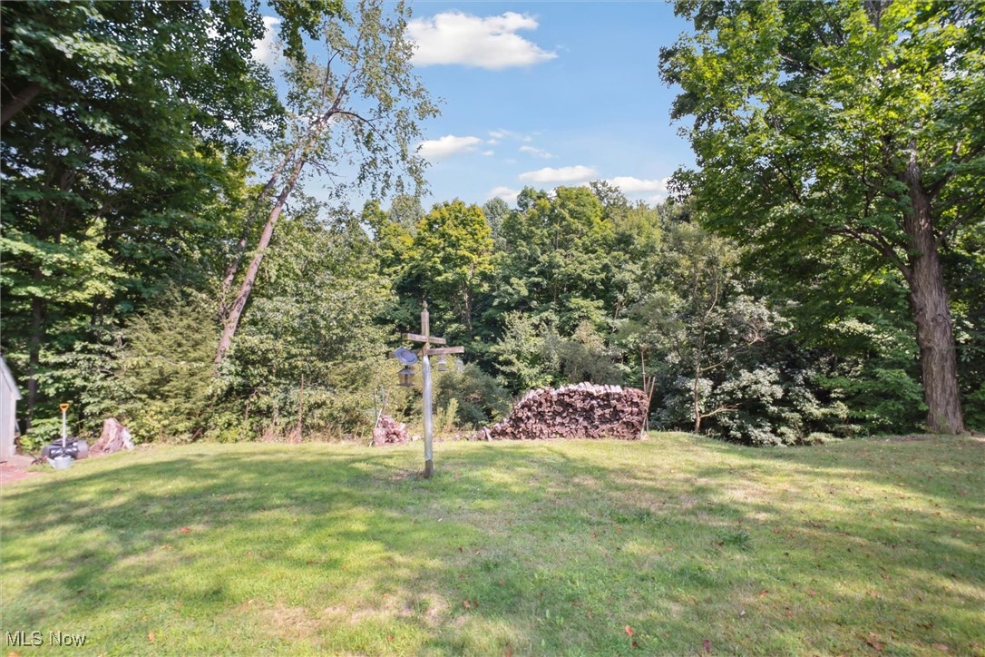 2820 Adams Road Kingsville, OH 44048 - Photo 11 of 34 View of yard
