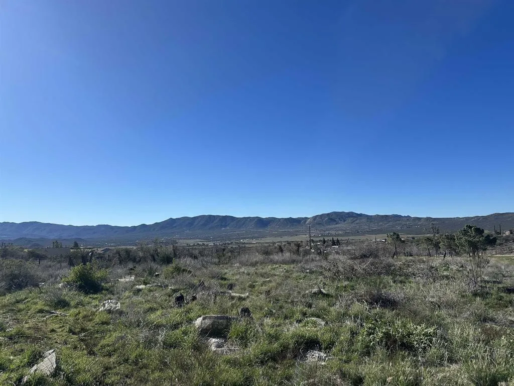 0 Rincon-Ridge Ridge Anza, CA 92539 - Photo 2 of 6 a view of mountain and a forest