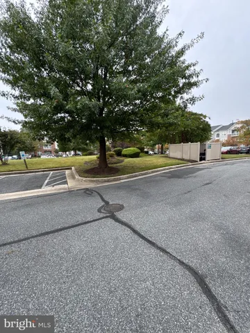 a view of a yard with a tree