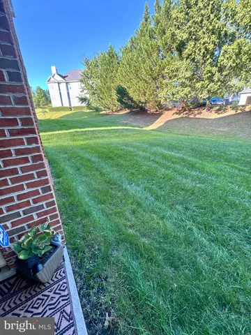 a view of a garden with a bench