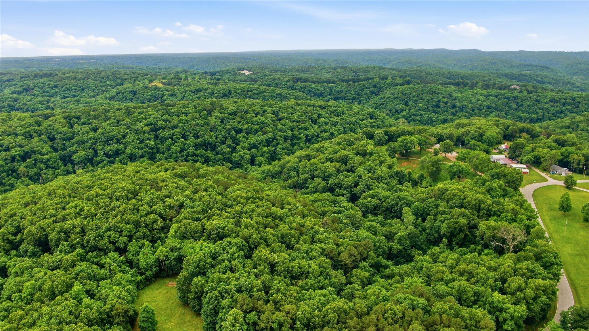 0 Cron Road Lampe, MO 65681 - Photo 3 of 8 3-DJI_0676