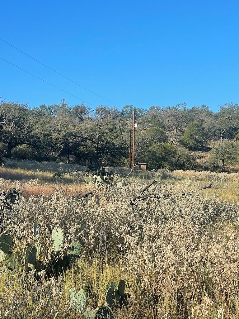 a view of a lake with a mountain in the background
