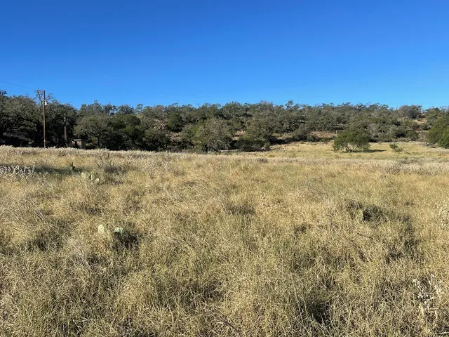 a view of a field with trees in background