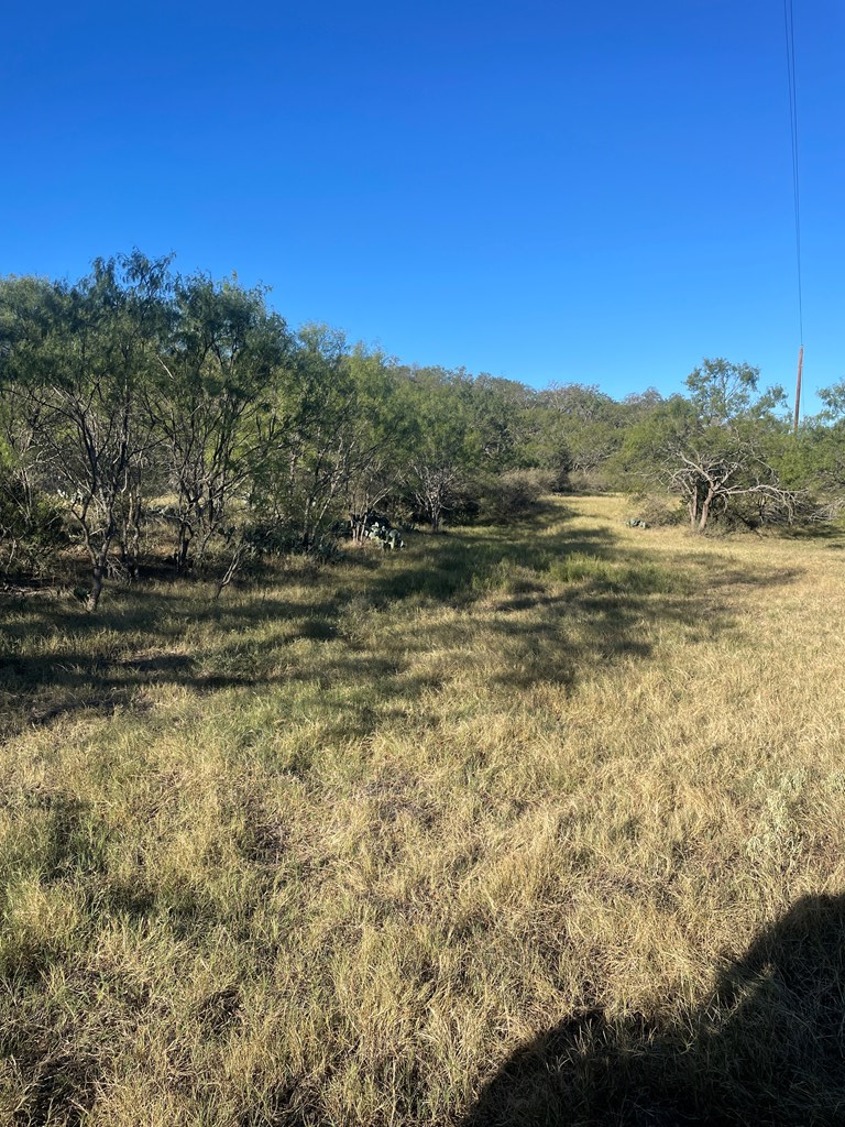 1 Little Willow Creek Road Mason, TX 76856 - Photo 7 of 9 a view of lake view and mountain view