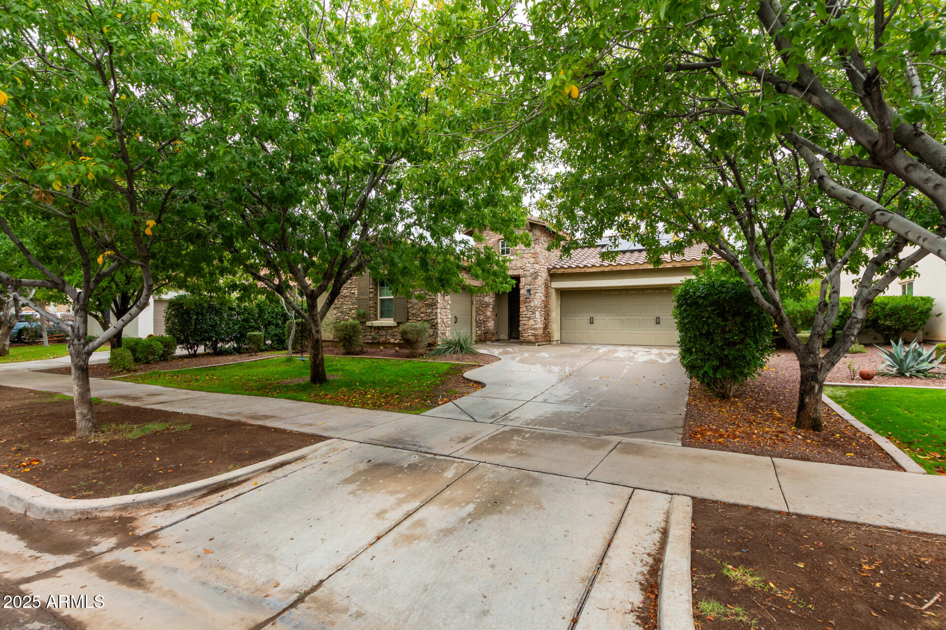20768 West Hamilton Street Buckeye, AZ 85396 - Photo 3 of 33 a front view of a house with a yard and potted plants
