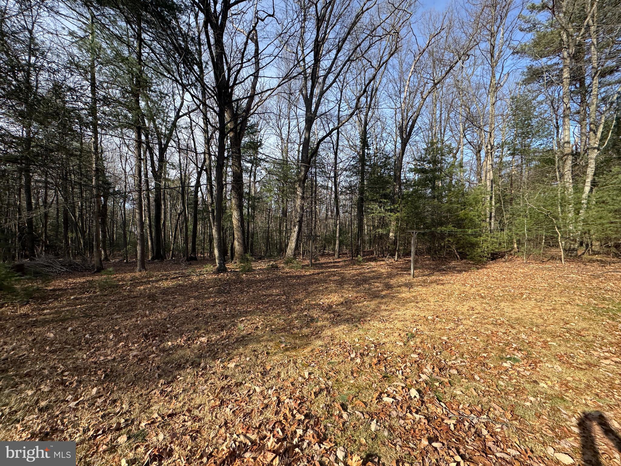 2137 Newman Road Fayetteville, PA 17222 - Photo 6 of 16