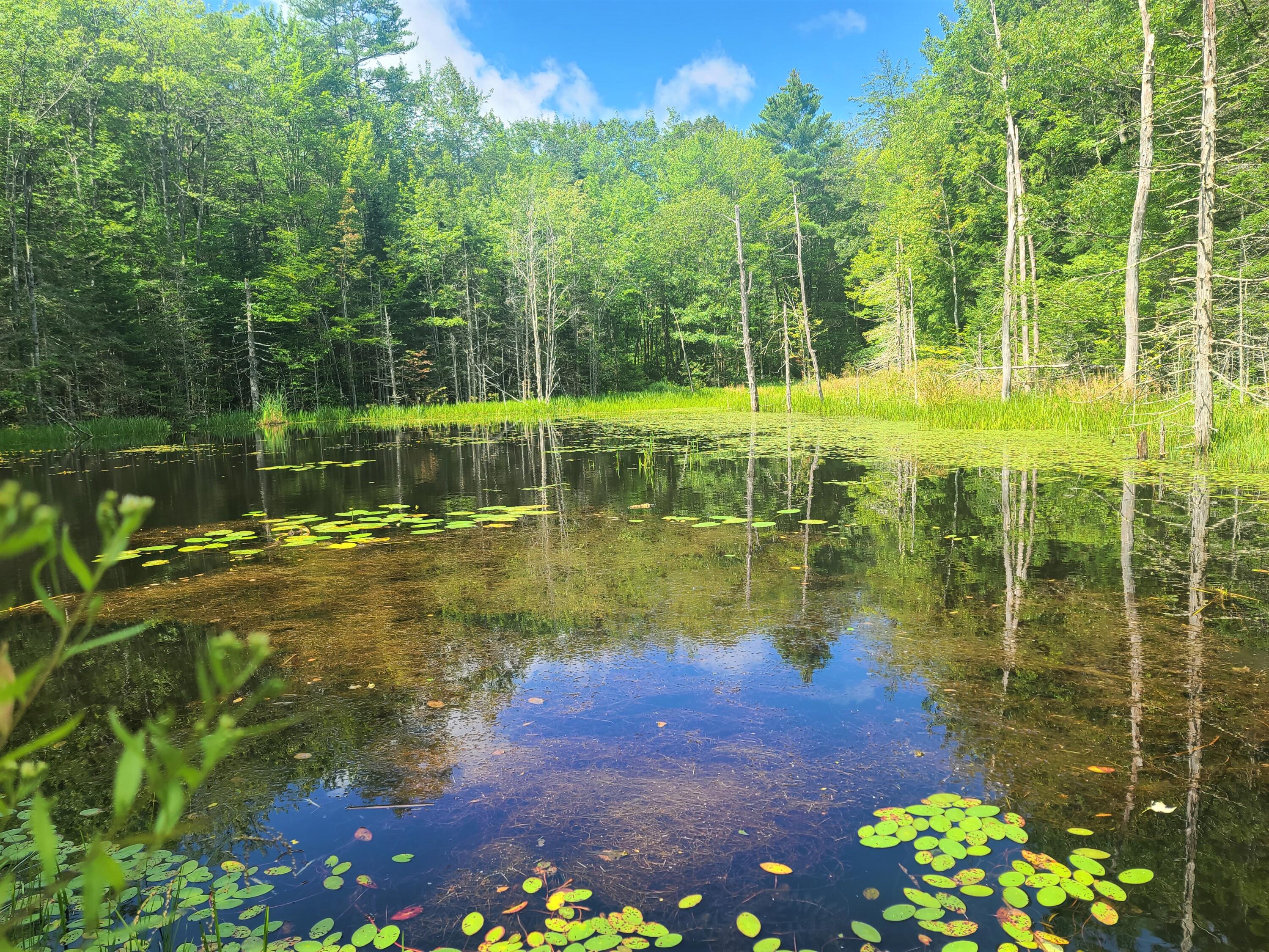 191 Indian Road Wiscasset, ME 04578 - Photo 114 of 123 20230811_110755
