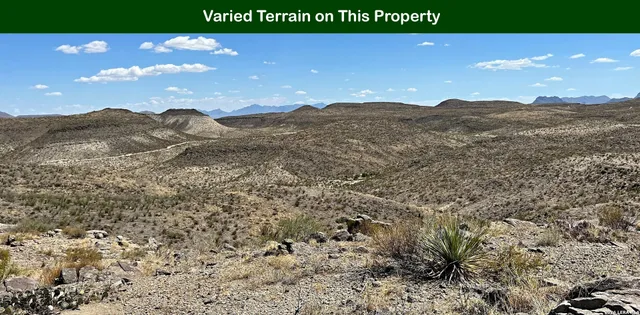 $16,699 | 0 Silt, Alpine, TX 79830