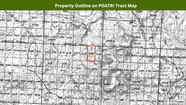 $16,699 | 0 Silt, Alpine, TX 79830