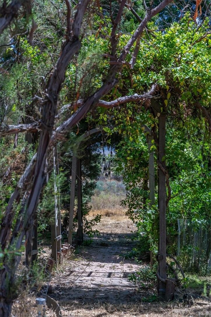 39875 Bautista Road Anza, CA 92539 - Photo 27 of 44 a view of a tree with a yard