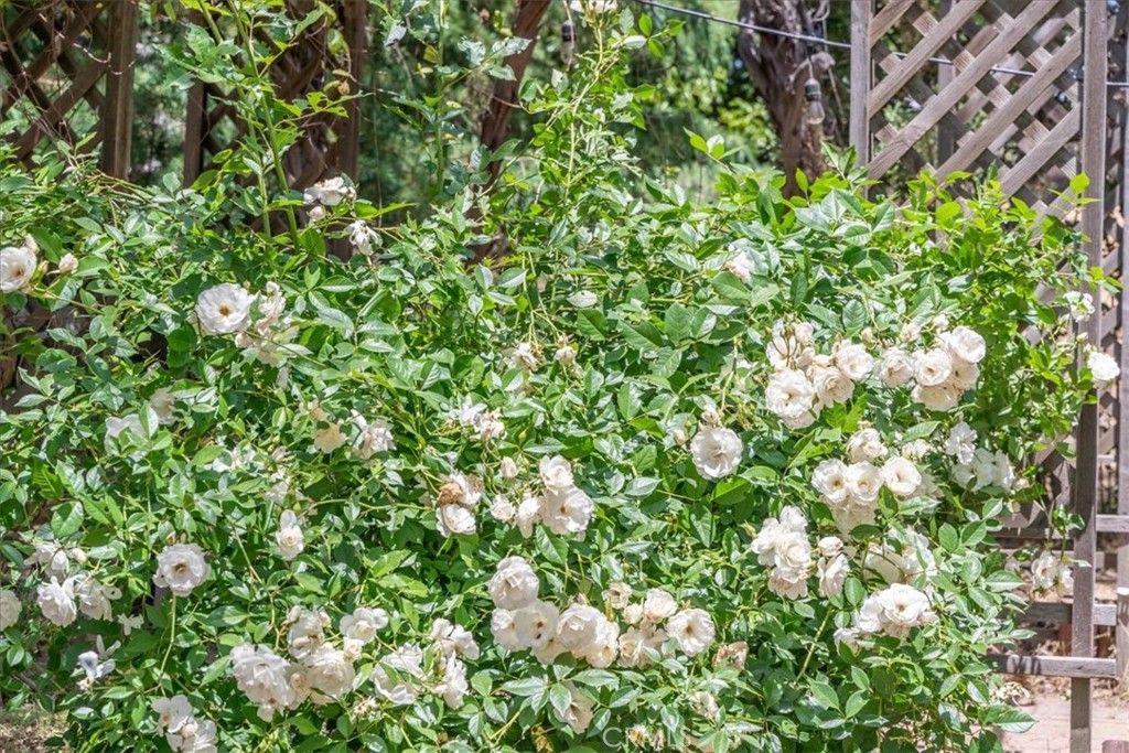 39875 Bautista Road Anza, CA 92539 - Photo 29 of 44