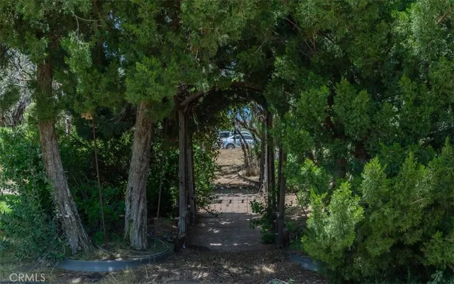 a view of a yard with plants and trees