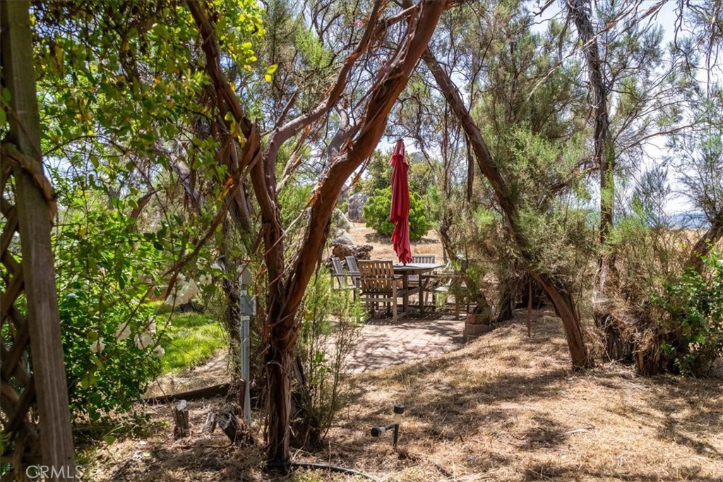 39875 Bautista Road Anza, CA 92539 - Photo 36 of 44 a view of a backyard with a large tree