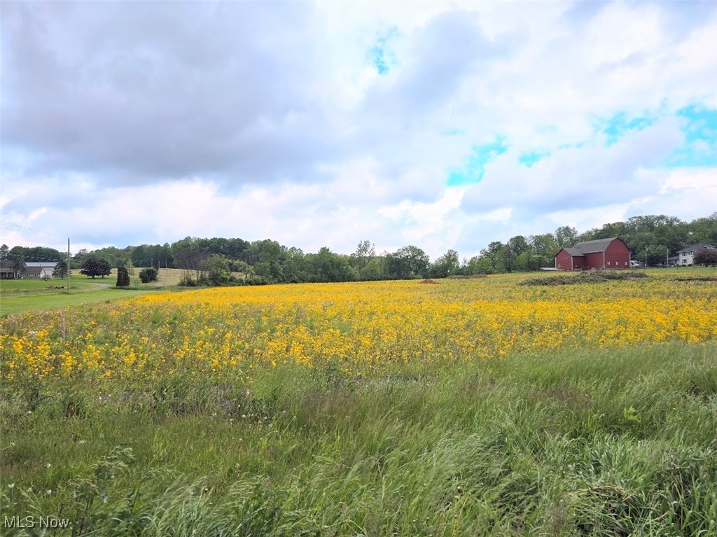 View of acreage East to West
