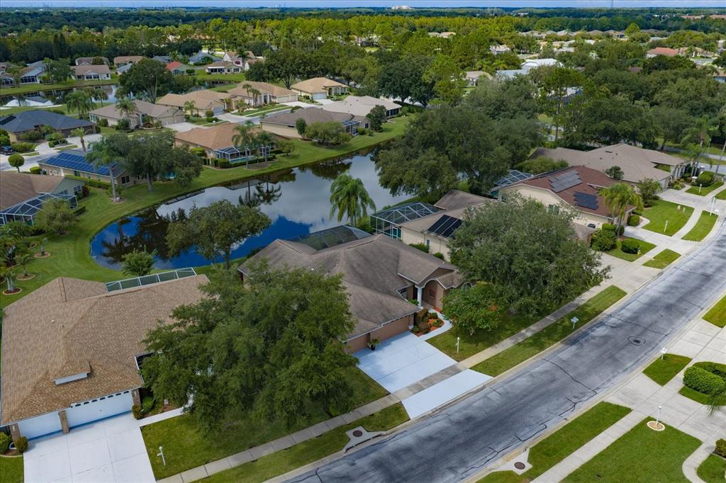 1237 Rambling Vine Court New Port Richey, FL 34655 - Photo 34 of 61 Gallery Image 34