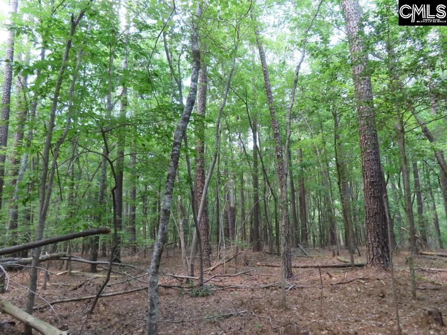 0 Park Road Ridgeway, SC 29130 - Photo 33 of 47