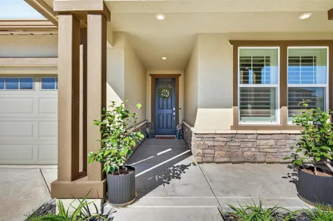 a potted plant sitting in front of a house
