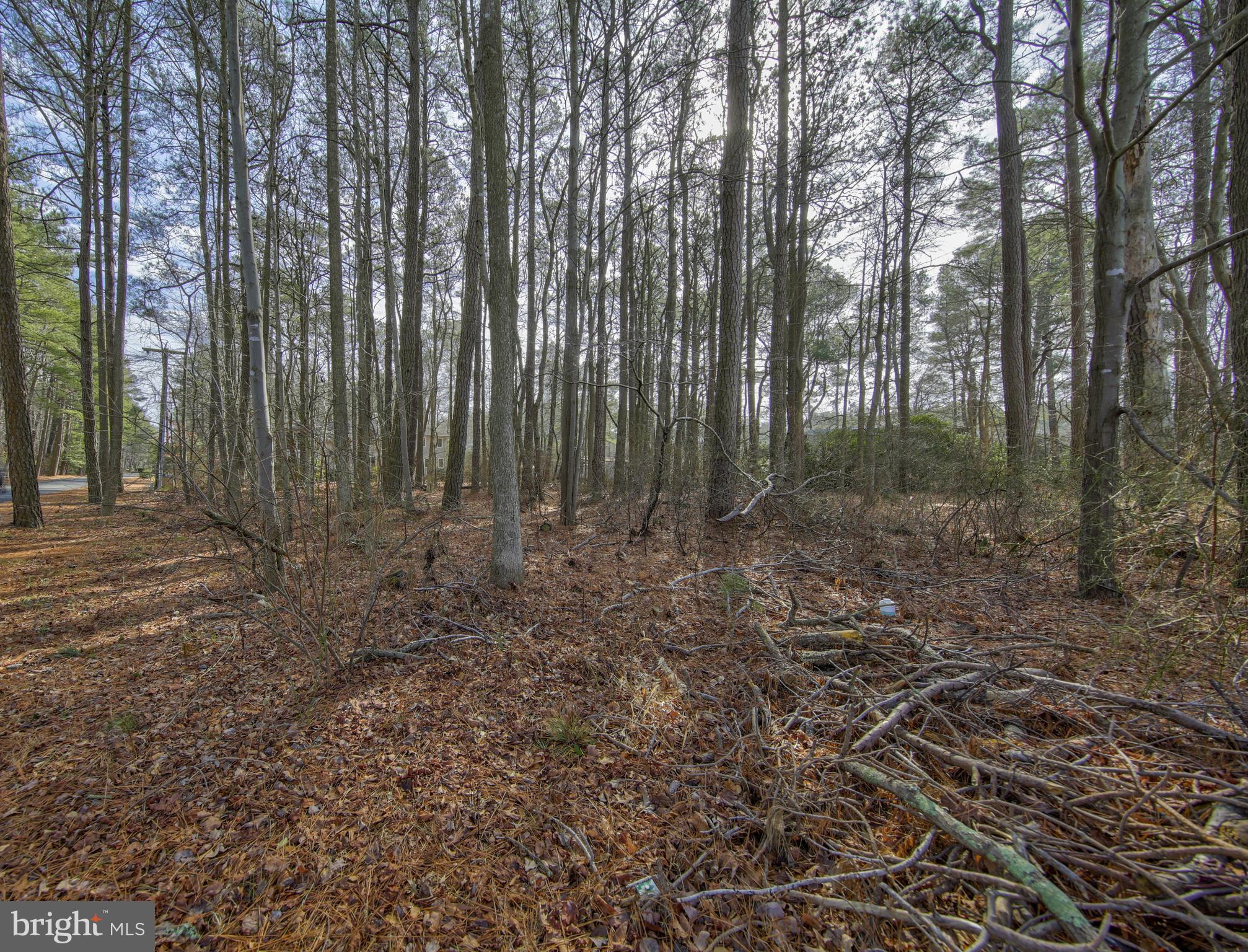 Lot 2 Bayberry Road Bethany Beach, DE 19930 - Photo 3 of 4