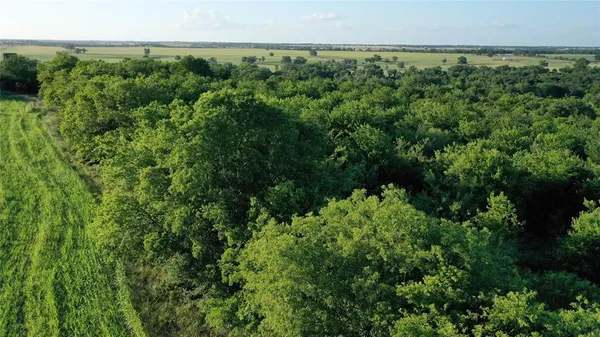 an aerial view of a yard