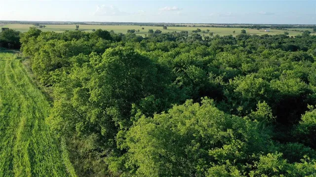 an aerial view of a yard