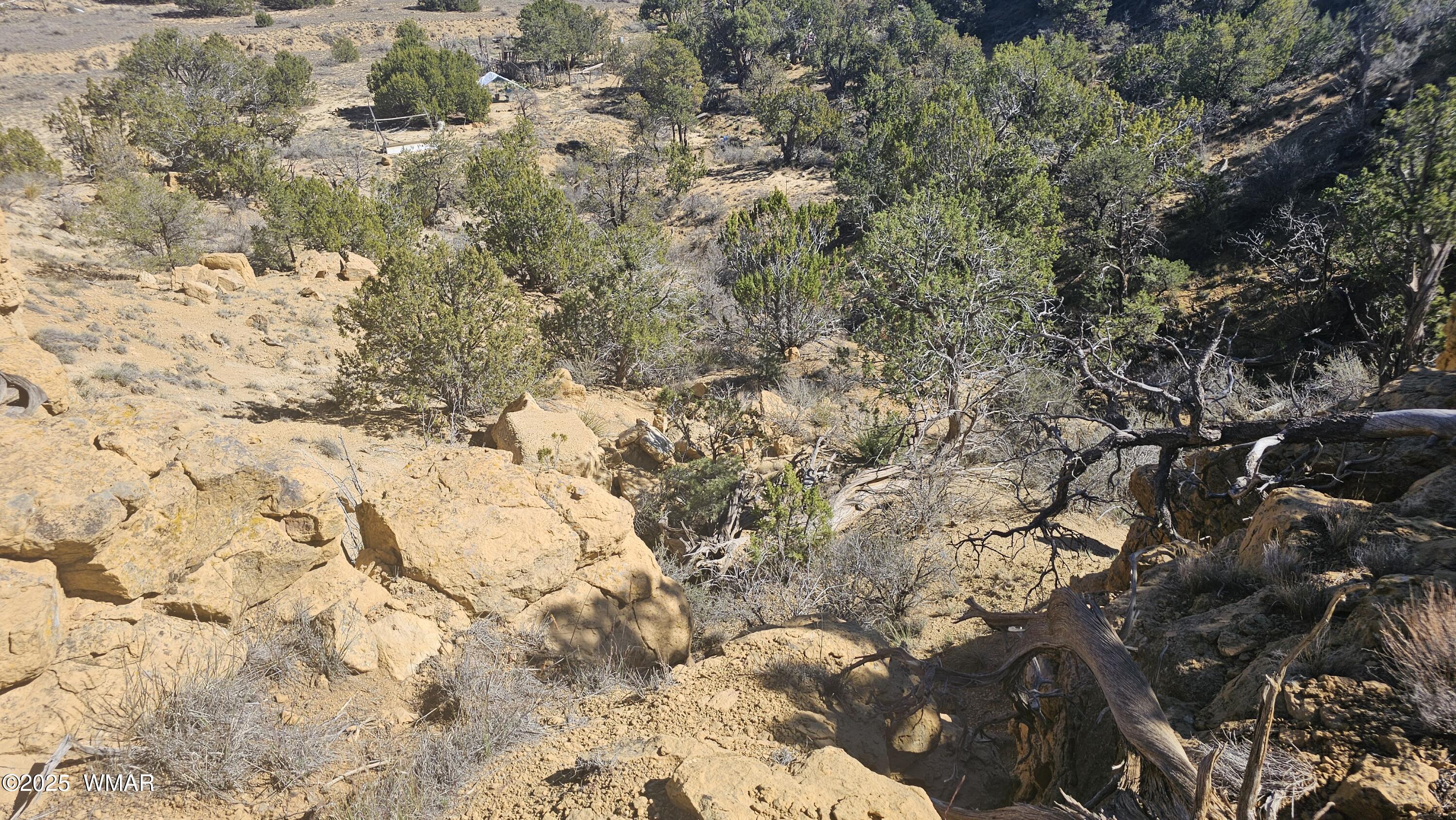4 County Road Concho, AZ 85924 - Photo 9 of 28