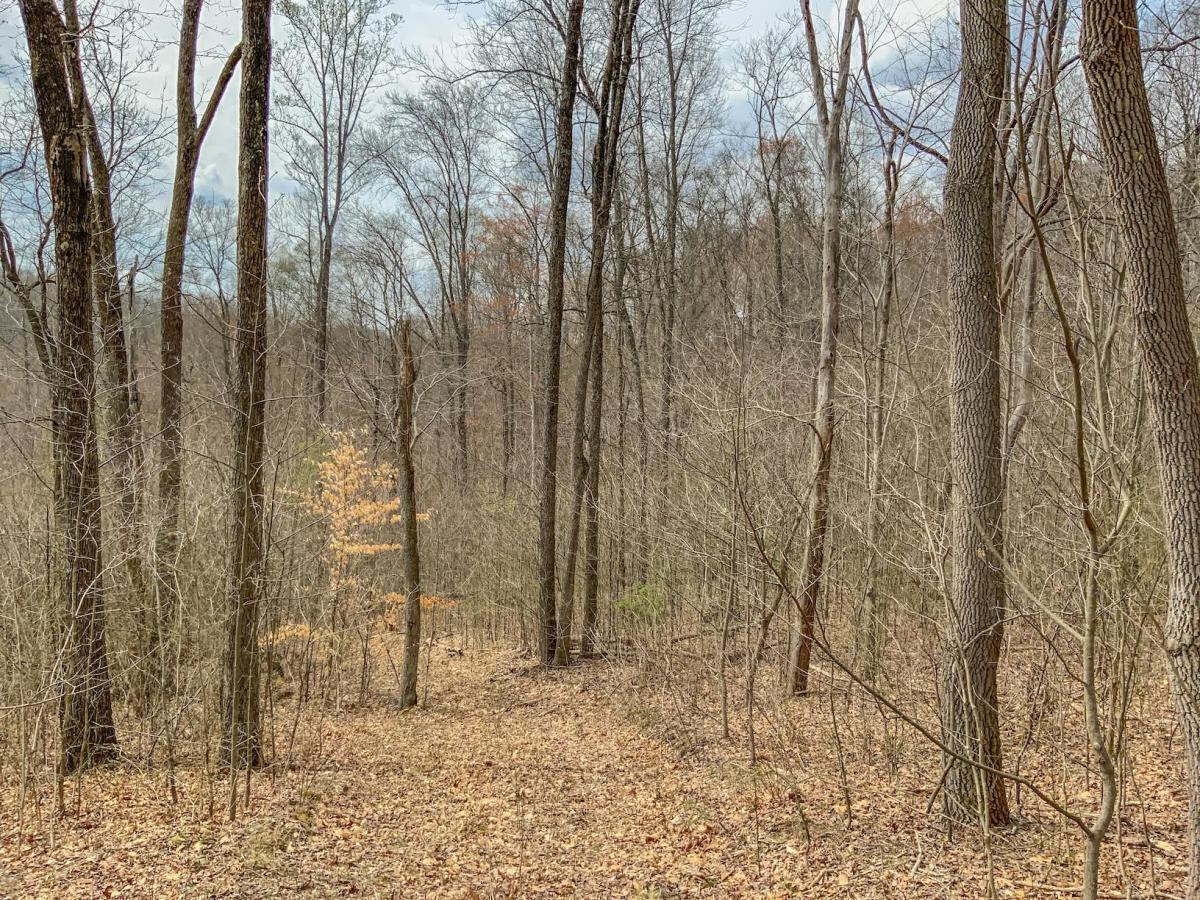 0 Goosecreek Road McArthur, OH 45651 - Photo 7 of 8 thumbnail