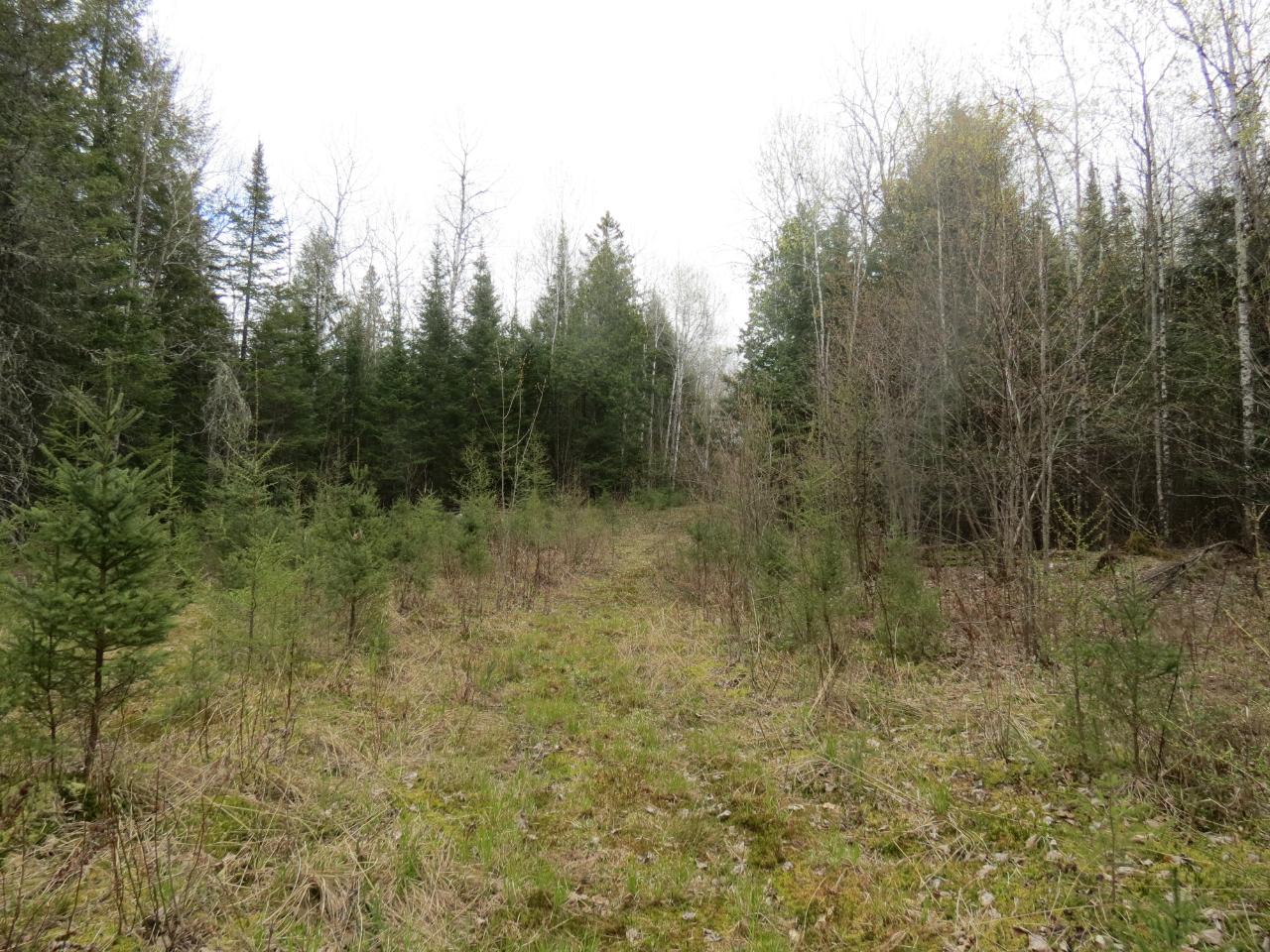Off Lassig Road Rhinelander, WI 54501 - Photo 14 of 25 Gallery Image 14