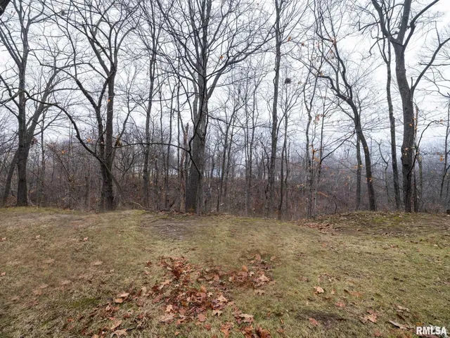 $179,500 | 717 West Brow Court, Peoria, IL 61615