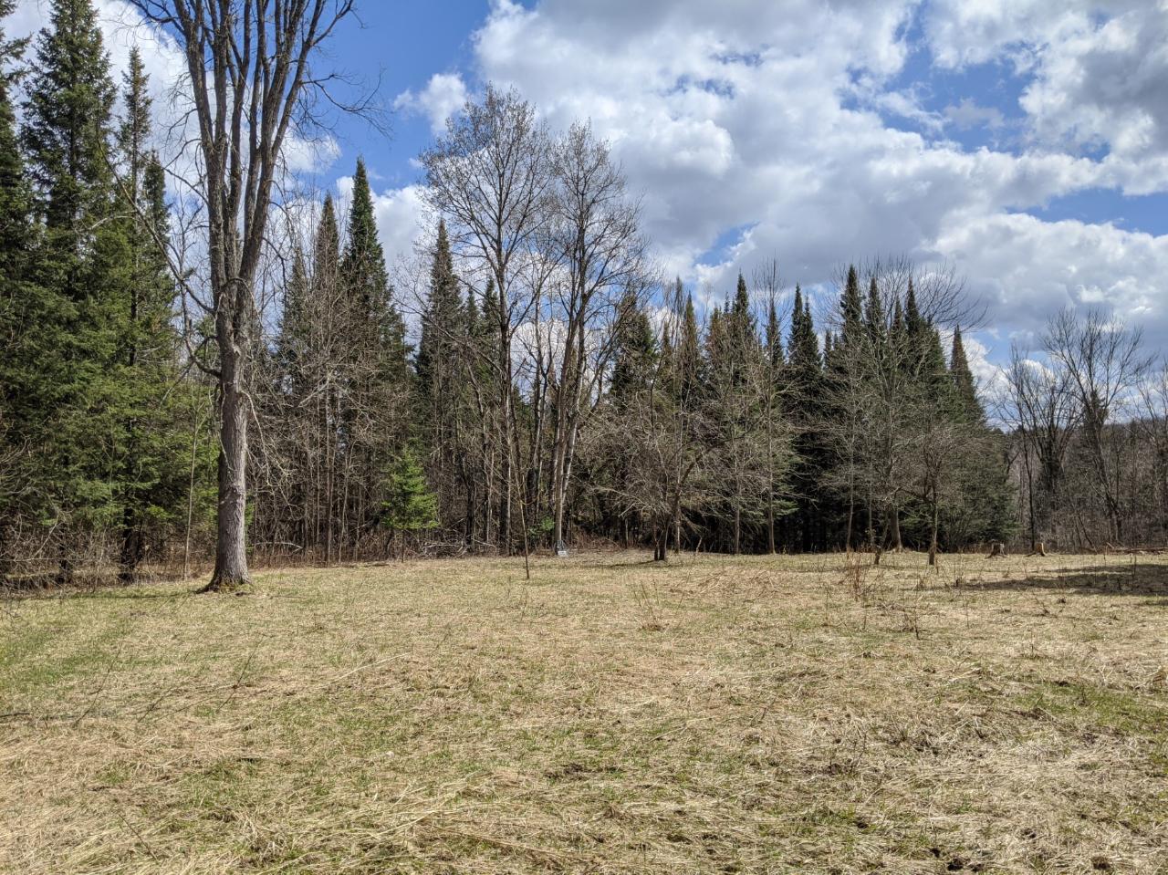 N5398 Hill Road Kennan, WI 54537 - Photo 22 of 49 Gallery Image 22