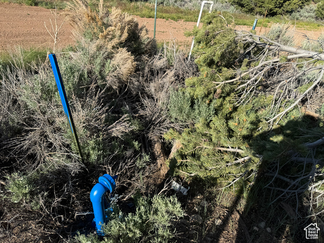 46205 Little Elk Road Fruitland, UT 84027 - Photo 22 of 24 water paid and stubbed