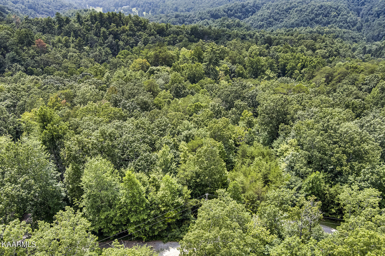 186 High Top Road Reliance, TN 37369 - Photo 3 of 11 01_HighTopRoad_186_RoadElevated_W-NW
