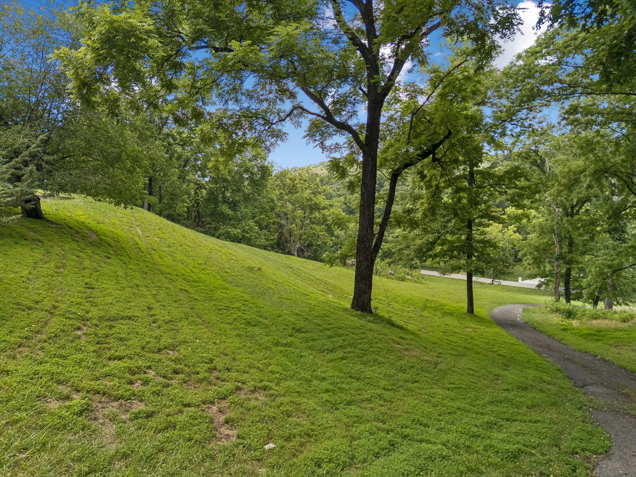 2268 North Berrys Chapel Road Franklin, TN 37069 - Photo 7 of 16 a view of an trees with a yard