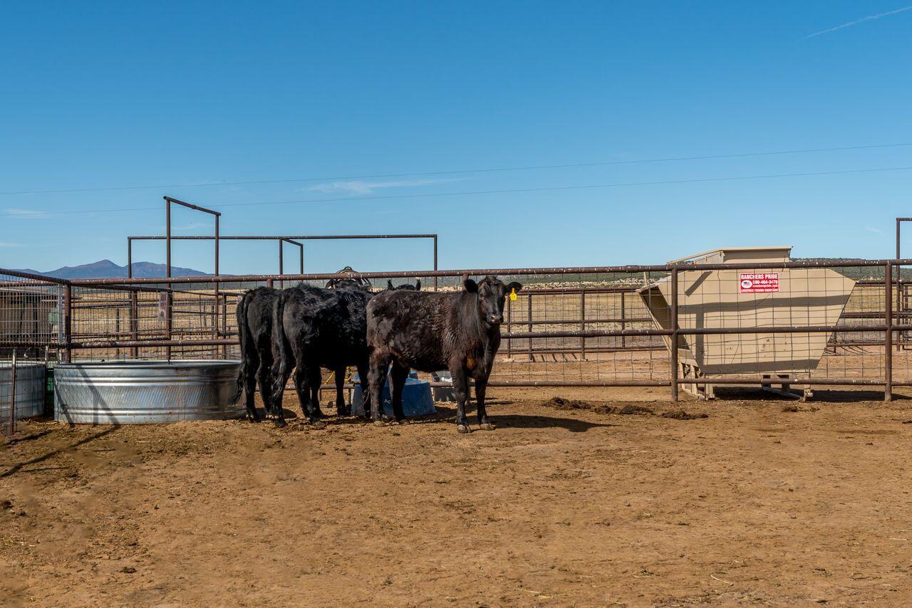 99 Pauline Road McIntosh, NM 87032 - Photo 60 of 73 Gallery Image 60