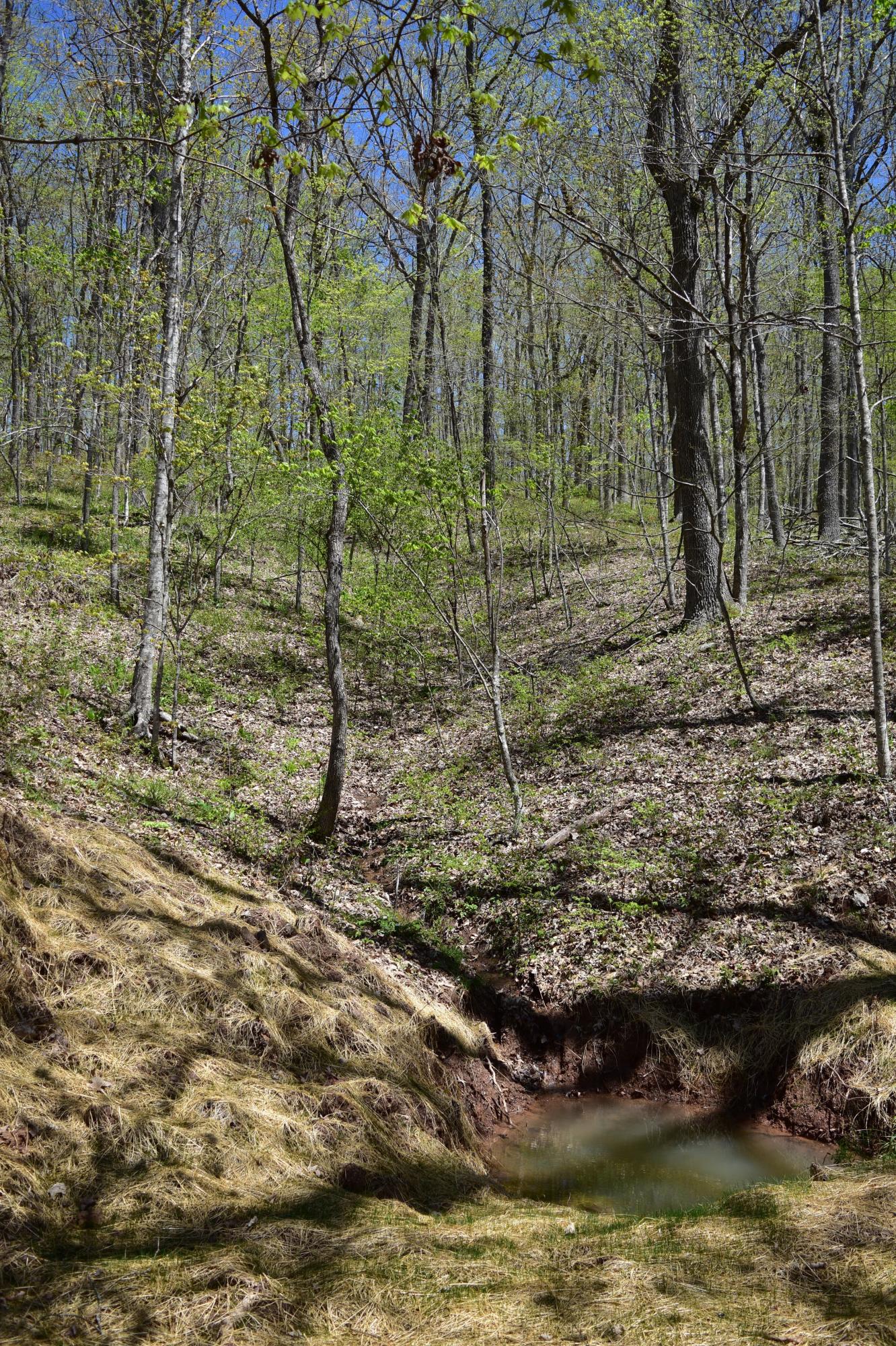 1124 Wayside Talcott Road Talcott, WV 24981 - Photo 25 of 54 Gallery Image 25