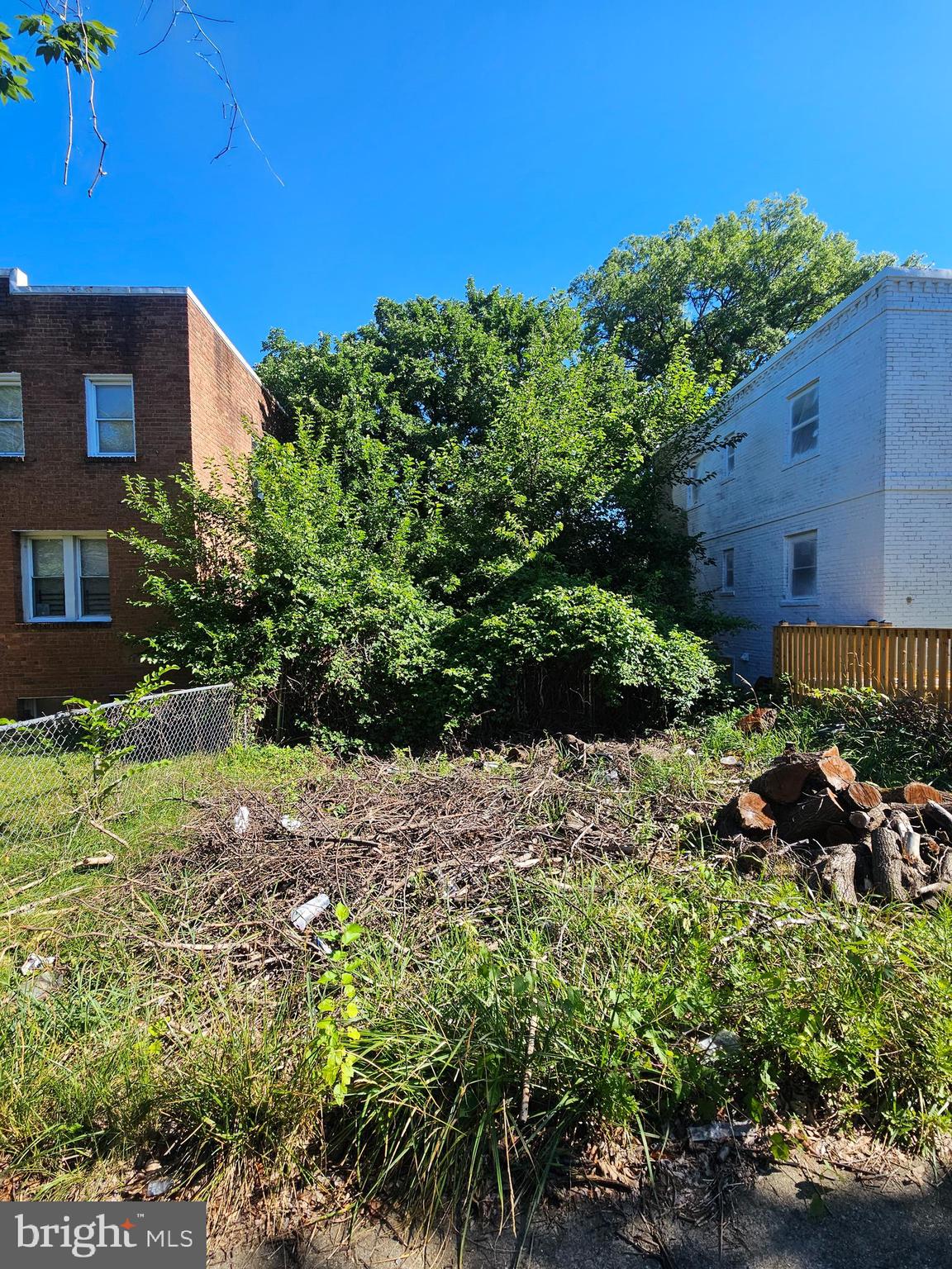 4224 Foote Street Northeast Washington, DC 20019 - Photo 3 of 5 Front of Lot