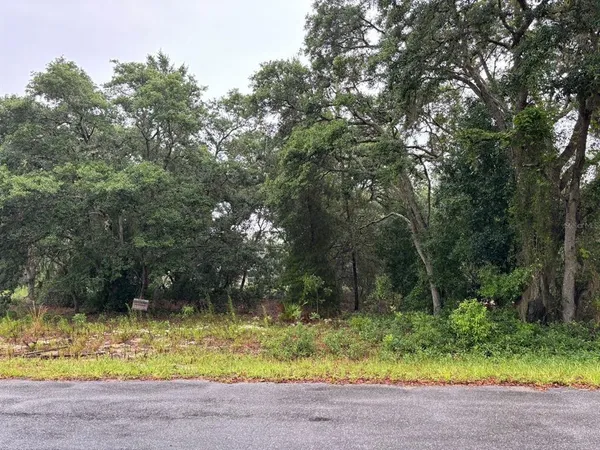 a view of backyard with green space