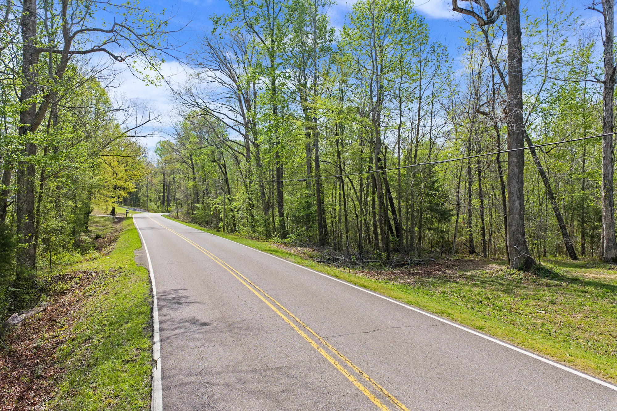 1395 Bible Hill Road Parsons, TN 38363 - Photo 39 of 44