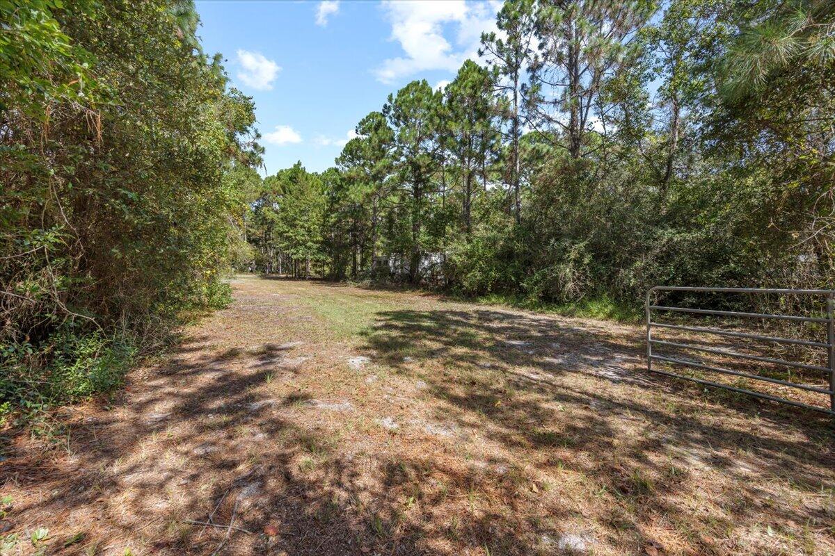 9251 Timber Lane Navarre, FL 32566 - Photo 5 of 52 02-1V3A1596 copy