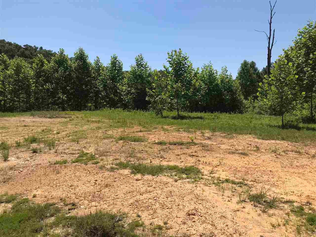 4330 Hewlet Road Fort Gay, WV 25514 - Photo 3 of 14 Gallery Image 3