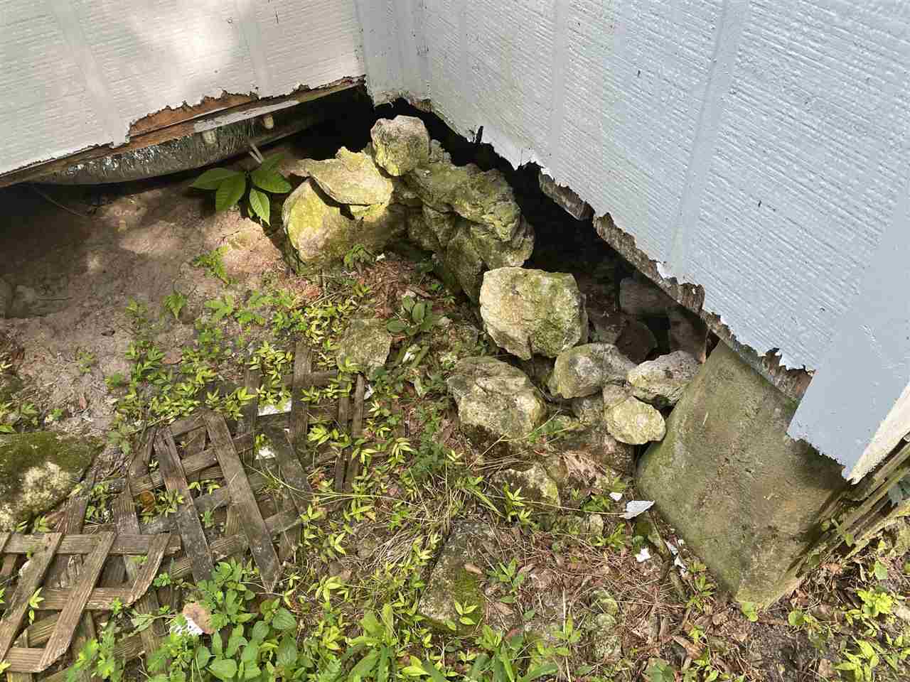 31 Methodist Lane Crawfordville, FL 32327 - Photo 2 of 26