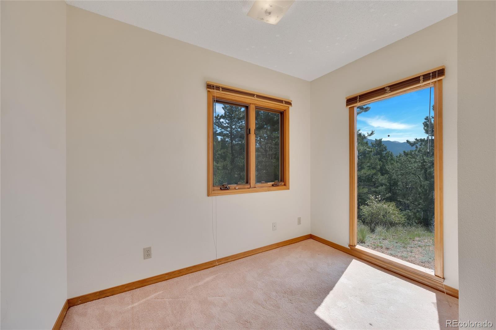 432 Paradiso Road Divide, CO 80814 - Photo 20 of 38