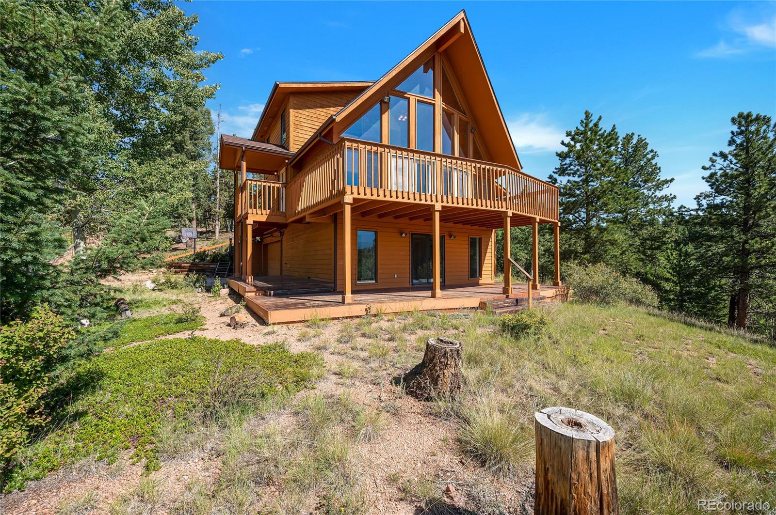 432 Paradiso Road Divide, CO 80814 - Photo 26 of 38