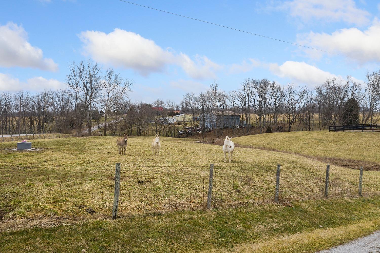 6332 Ripley-Day Hill Road Ripley, OH 45167 - Photo 34 of 43