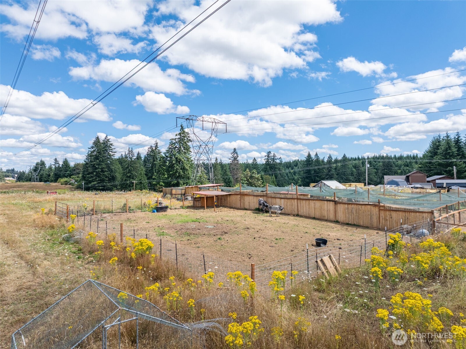 188 Holcomb Road Chehalis, WA 98532 - Photo 29 of 39 Gallery Image 29